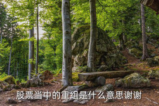 什么是重組，重組在電腦術(shù)語中什么意思