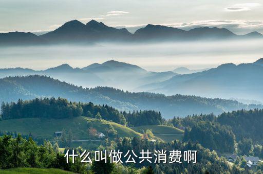什么是公共消費，什么叫做公共消費啊