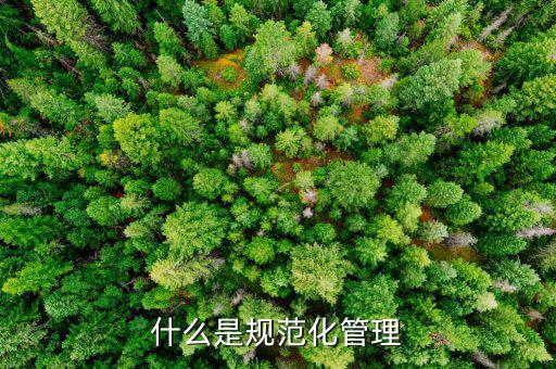 什么是定制化管理，什么是制化管理