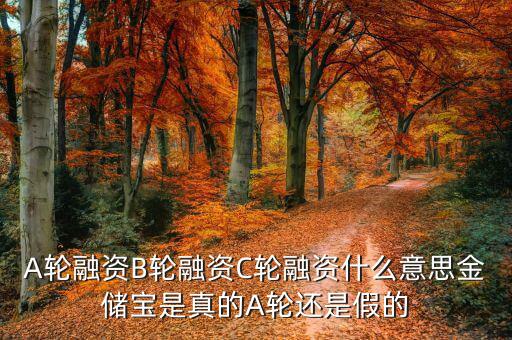幾輪融資是什么意思，A輪融資B輪融資是什么意思