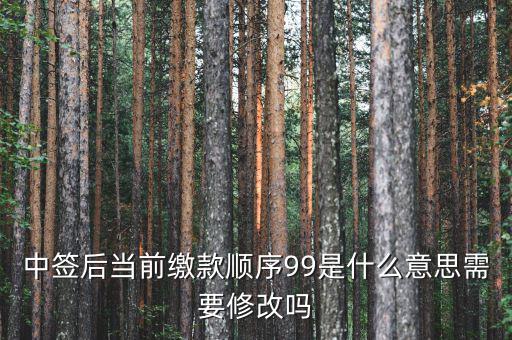 繳款順序99是什么意思，99是什么意思