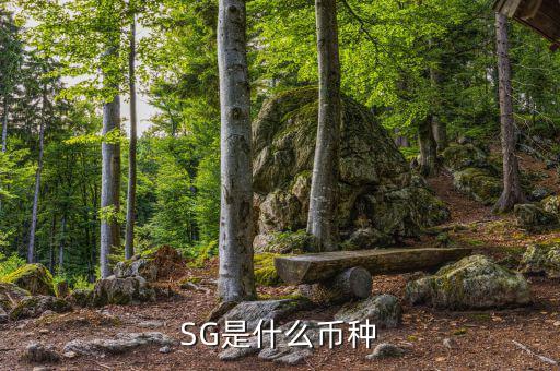 sgd是什么幣種，SG是什么幣種