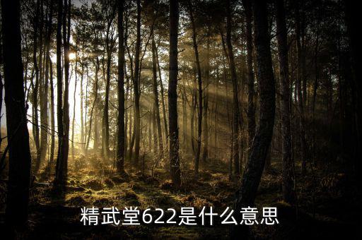 622什么意思國泰君安，國泰君安是什么意思