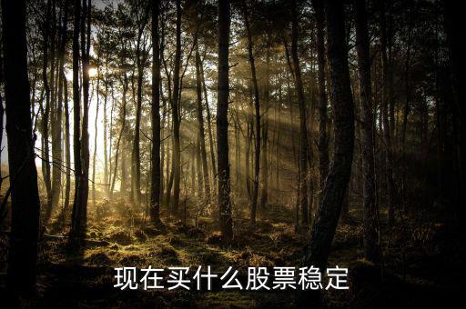 買什么股票比較穩(wěn)妥，現(xiàn)在買什么股票穩(wěn)定