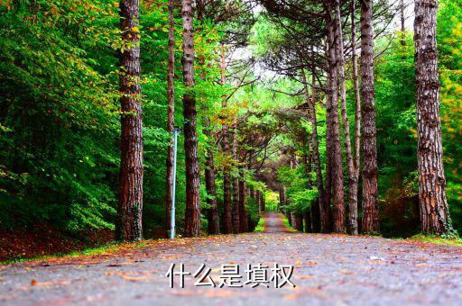 什么是填權(quán)和除權(quán)，除權(quán)和填權(quán)是什么意思說的通俗點(diǎn)不要復(fù)制別人的