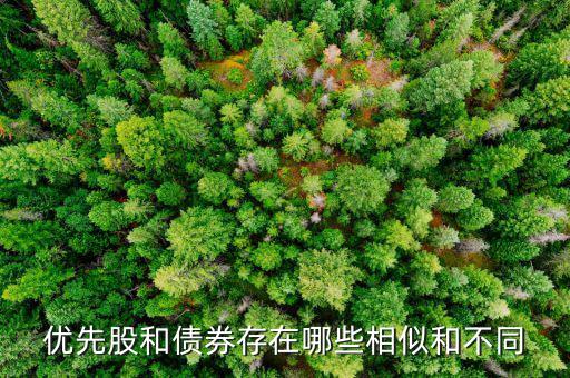 境外優(yōu)先股是什么，優(yōu)先股試點是什么說的詳細點