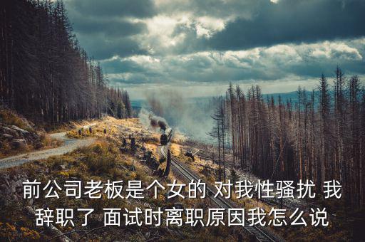 李維金為什么辭職，前公司老板是個女的 對我性騷擾 我辭職了 面試時離職原因我怎么說