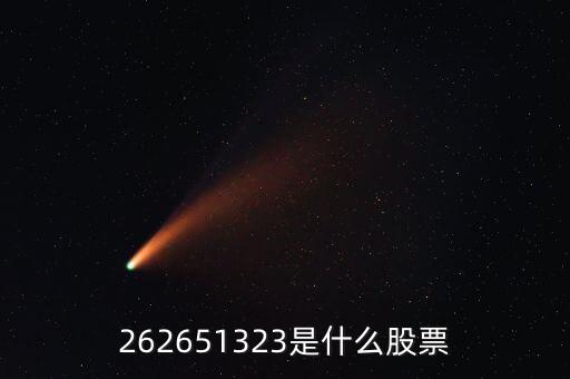 208393股票是什么，262651323是什么股票