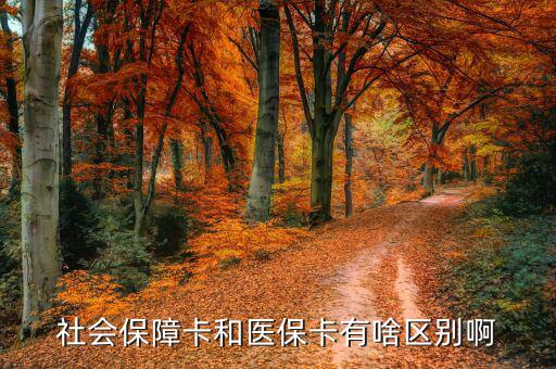 社會保障卡和醫(yī)?？ㄓ猩秴^(qū)別啊