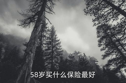 58歲女性做什么保險，58歲女性可以辦哪些保險啊