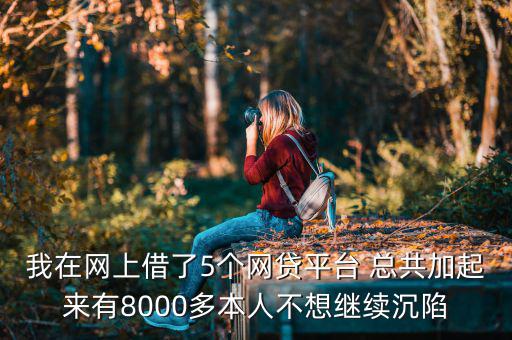 什么網(wǎng)貸能帶8000，今年二十我想貸款八千現(xiàn)有工作分是還款靠譜有好心人幫忙指點