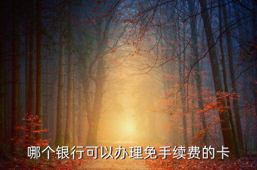 什么銀行的卡不用工本費，哪種銀行卡辦理時不需要工本費和年費