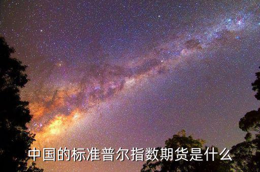 什么是國內(nèi)期貨指數(shù)，中國的標準普爾指數(shù)期貨是什么