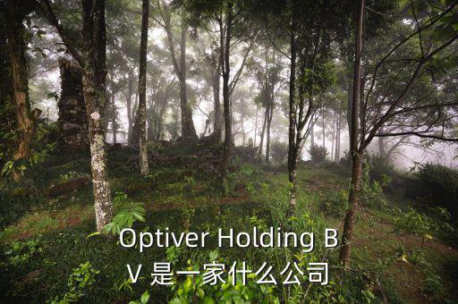 什么是nyme原油，Optiver Holding BV 是一家什么公司