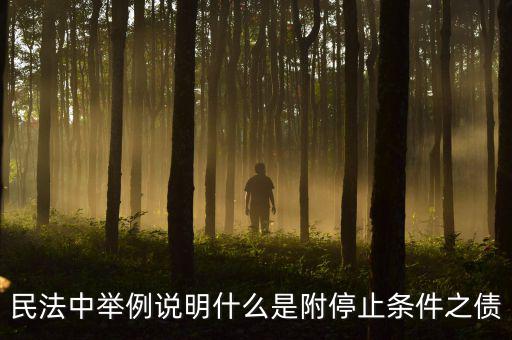 附停止條件的合同是什么意思，請(qǐng)教一下 怎么理解附條件和附期限合同啊 最好舉個(gè)例子 萬(wàn)分感謝  搜
