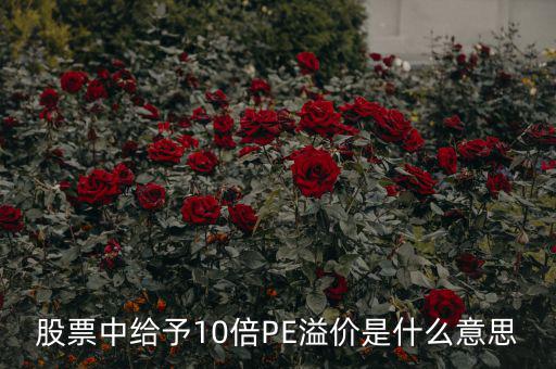 股票10倍市盈率什么意思，買10倍市盈率上下的大盤股什么意思