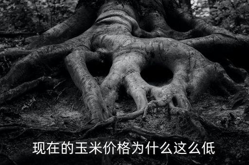 現(xiàn)在為什么糧食價(jià)格低，為什么糧食越來(lái)越便宜