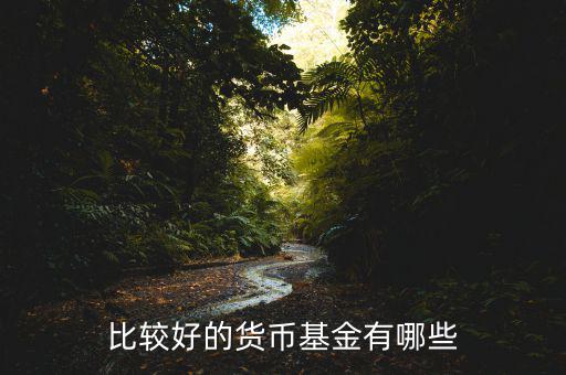 買什么貨幣基金好，比較好的貨幣基金有哪些