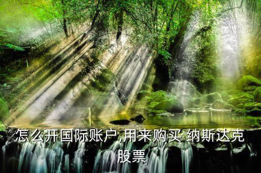 怎么開國(guó)際賬戶,用來購(gòu)買 納斯達(dá)克 股票
