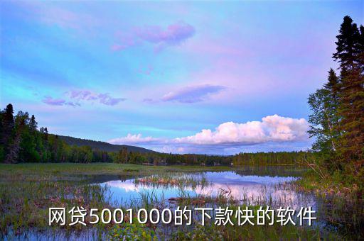 什么平臺能快速借500，網(wǎng)貸5001000的下款快的軟件