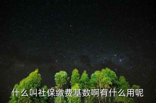 社保繳費基數(shù)有什么用，什么叫社保繳費基數(shù)啊有什么用呢