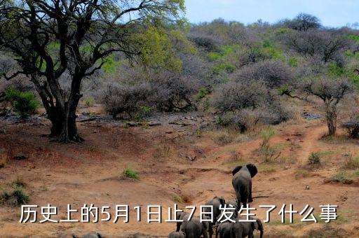 史上5月1日發(fā)生了什么，歷史上的5月1日止7日發(fā)生了什么事