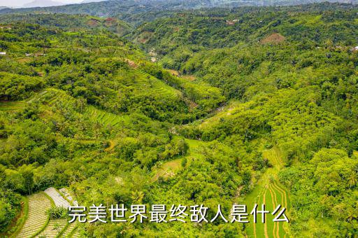 什么是對(duì)手盤(pán)，完美世界最終敵人是什么