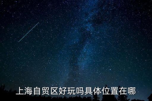 上海自貿(mào)區(qū)有什么好玩的，上海自貿(mào)區(qū)參觀有啥好玩的
