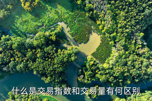 什么是指數(shù)交易，指數(shù)交易和期貨交易的區(qū)別