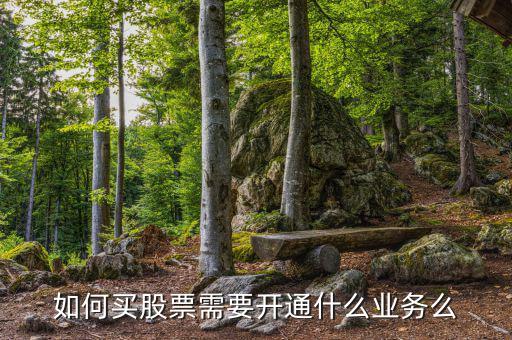 買(mǎi)股票到銀行開(kāi)通什么業(yè)務(wù)，炒股票需要什么銀行卡銀行卡要開(kāi)通什么