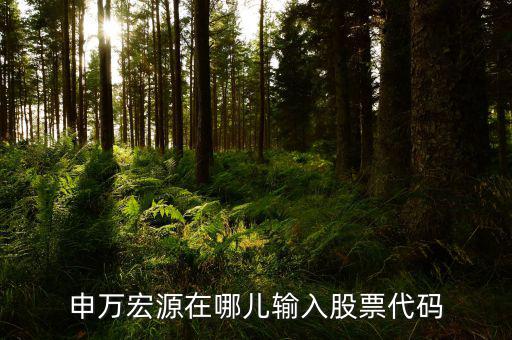 申萬宏源為什么用字母查不到股票，申萬宏源在哪兒輸入股票代碼