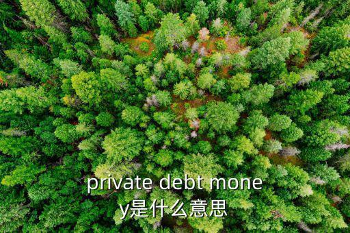 私人配售什么意思，private debt placement是什么意思啊