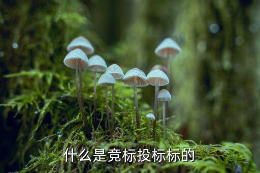 什么是投標(biāo)標(biāo)的，投標(biāo)的標(biāo)項是什么