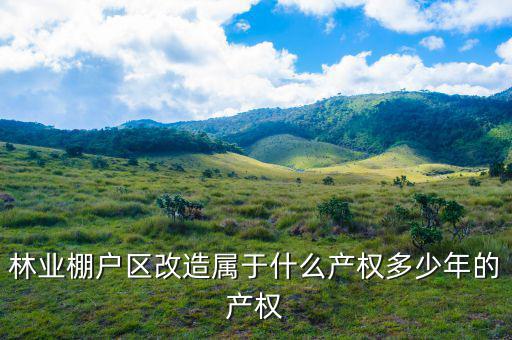 什么是林業(yè)棚戶區(qū)，請問蛟河林業(yè)棚戶區(qū)建造的樓房為什么收取物業(yè)費(fèi)會和取暖費(fèi)捆綁在一