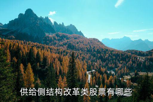 供給側(cè)最利好什么股票，供給側(cè)改革概念股有哪些