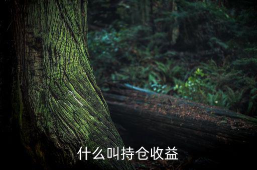 理財(cái)里的持倉(cāng)收益是什么意思，基金 持倉(cāng)收益7579 是什么意思啊 本人是新手