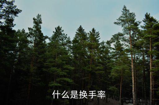換手率說明什么，什么是換手率