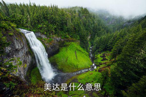 美達股份是什么公司，美達是什么意思
