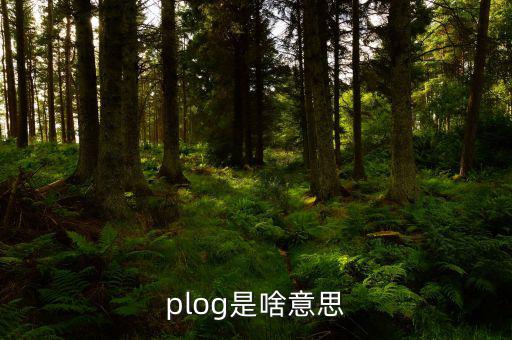 airbnb是什么意思，booking是什么意思