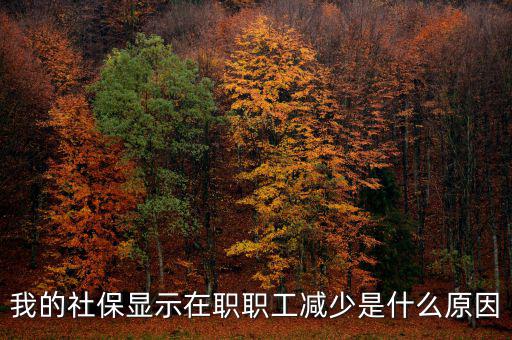 社保突然降了是什么原因，我的社保顯示在職職工減少是什么原因