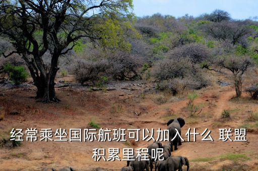 星空聯(lián)盟積分怎么算,南航、東航可通過明珠卡共享積分等
