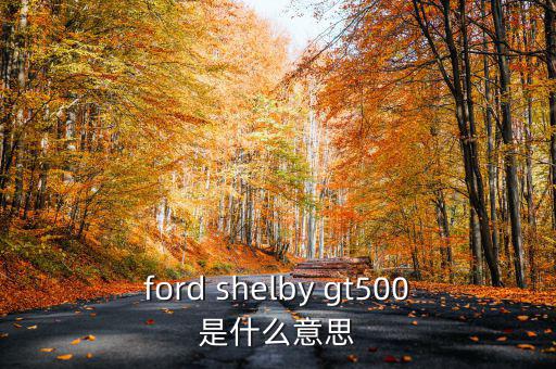 東盟油500是什么，ford shelby gt500是什么意思