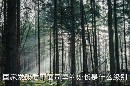 央企處長(zhǎng)是什么級(jí)別，央企比如移動(dòng) 電信 聯(lián)通 中石油石化 這些企業(yè)縣的老總是什么級(jí)別