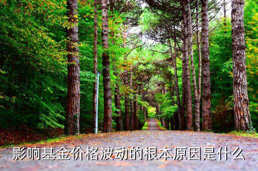 影響價格波動的最根本因素是什么，影響價格波動的最根本因素是什么證券投資學