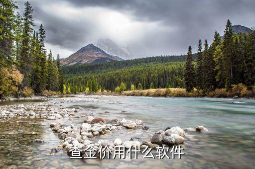 什么軟件可以看金價，查金價用什么軟件