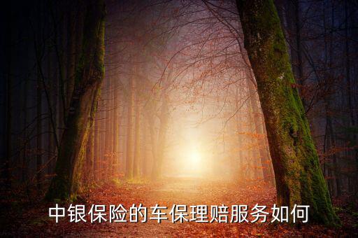 中銀保險(xiǎn)車險(xiǎn)vip客戶有什么權(quán)利，中銀保險(xiǎn)的車保理賠服務(wù)如何