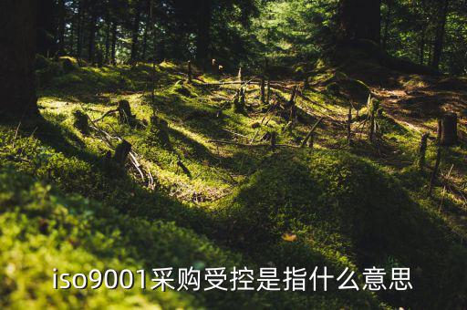采購流程的雙控體系是什么意思，iso9001采購受控是指什么意思