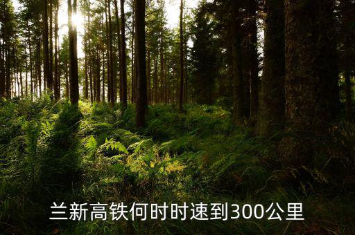 蘭新高鐵什么時(shí)候提速，蘭新高鐵2015年3月20日后會(huì)再提速嗎