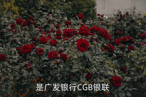 廣發(fā)銀行是什么，廣發(fā)銀行跟廣東發(fā)展銀行是同一個銀行嗎