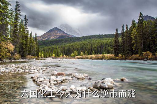 六國(guó)化工今天為什么逆市而漲